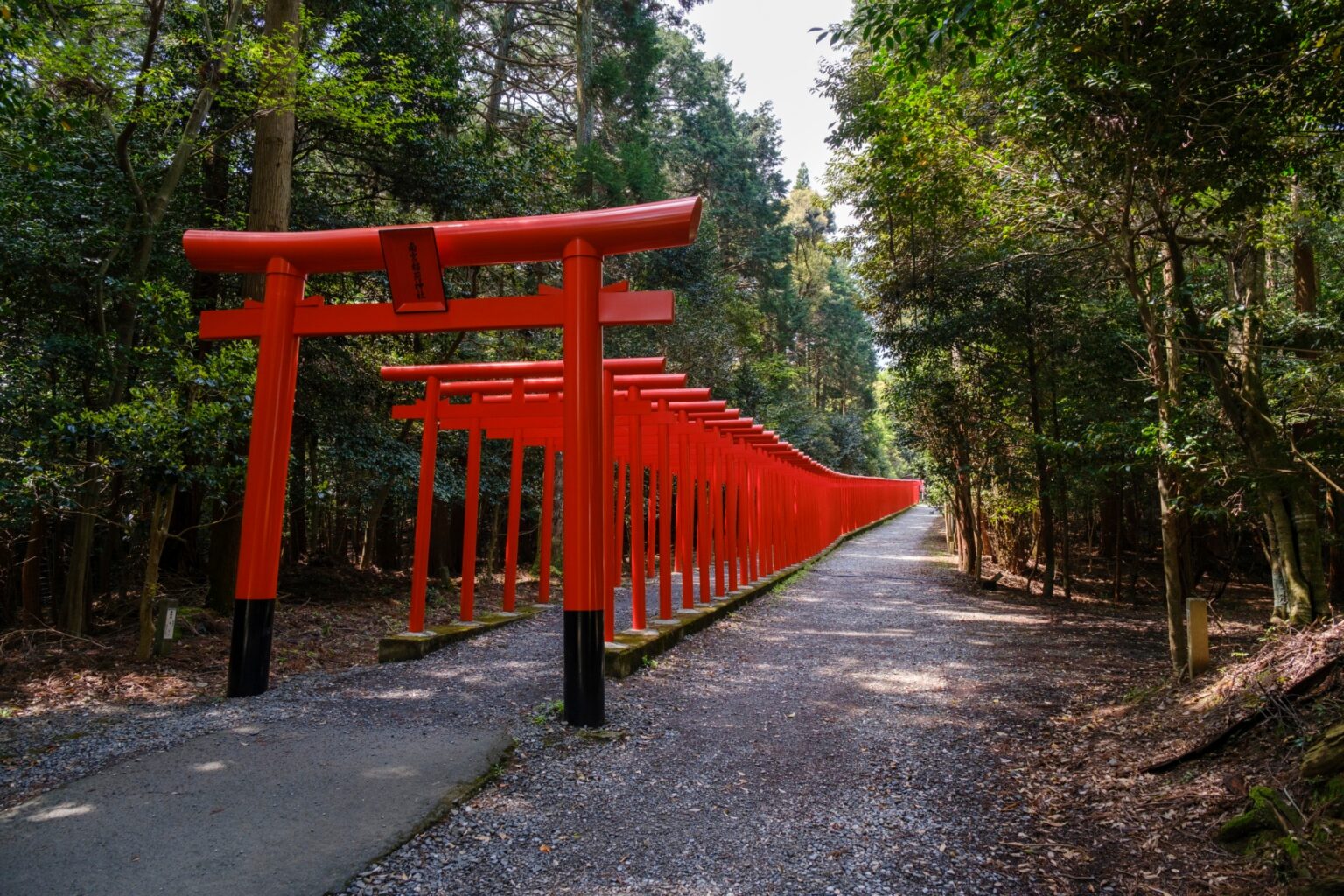 春に行きたい岐阜県垂井町のツーリングスポット5選 - 平日バイク